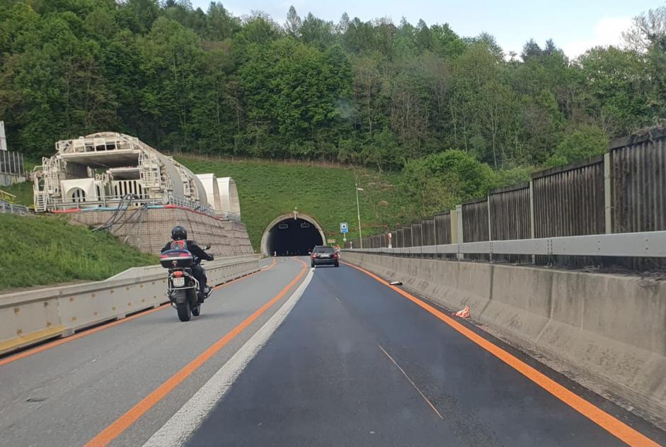 Avviso Ritrovamento Gatto incrocio di razze Non conosciuta Chexbres Svizzera